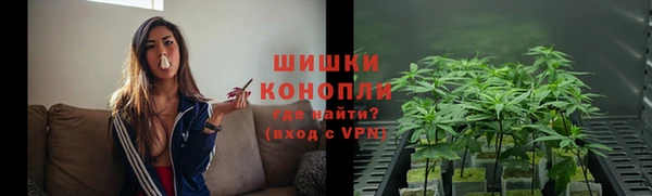 сатива Лабытнанги