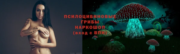 сатива Лабытнанги