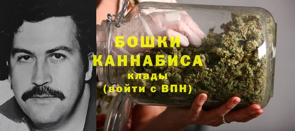 дживик Лагань
