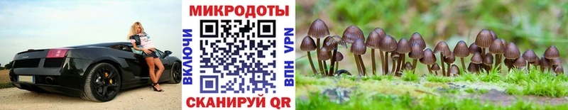 магазин Стерлитамак Галлюциногенные грибы GOLDEN TEACHER